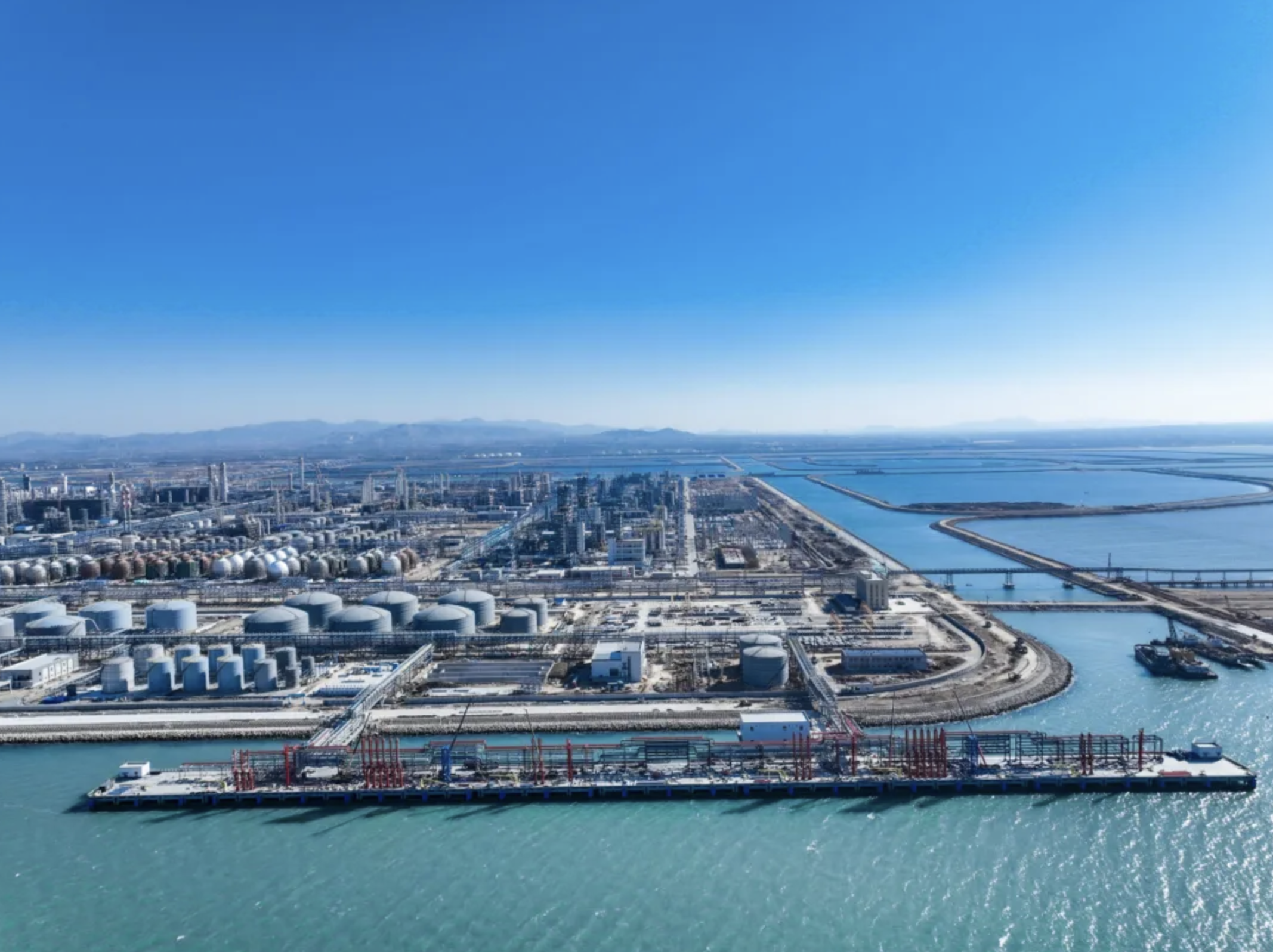 南山三家A股上市公司2024年一季度业绩亮眼